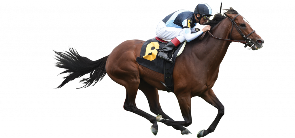 Gaming-Risk-Management-Software